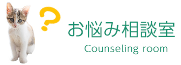 お悩み相談室